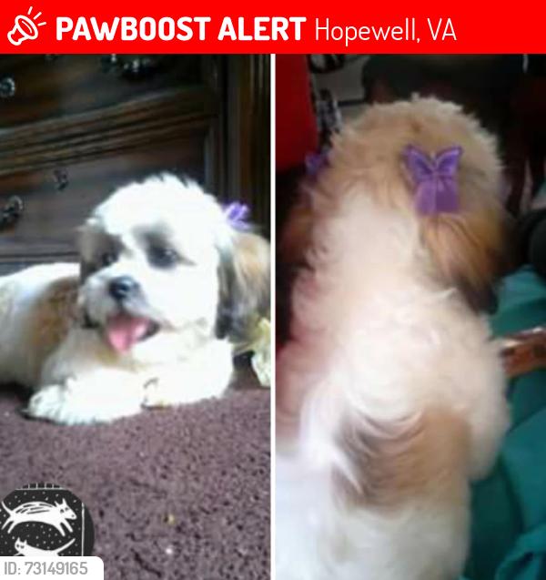 Lost Female Dog last seen Dupoint elementary, Hopewell, VA 23860