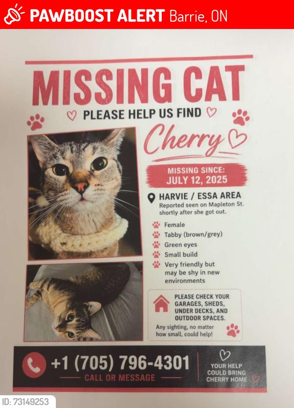 Lost Female Cat last seen Mapelton park, Barrie, ON 