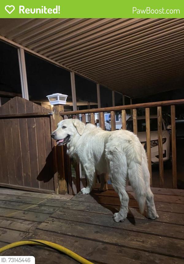 Reunited Male Dog last seen Right by the corner of 2700s and 2700w, West Valley City, UT 84119