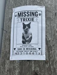 Reunited Female Cat last seen New Brighton, MN 55112, USA, New Brighton, MN 55112
