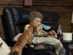 Lost Male Dog last seen White plains Rd and arbor grove Baptist ch rd, Wilkes County, NC 28669