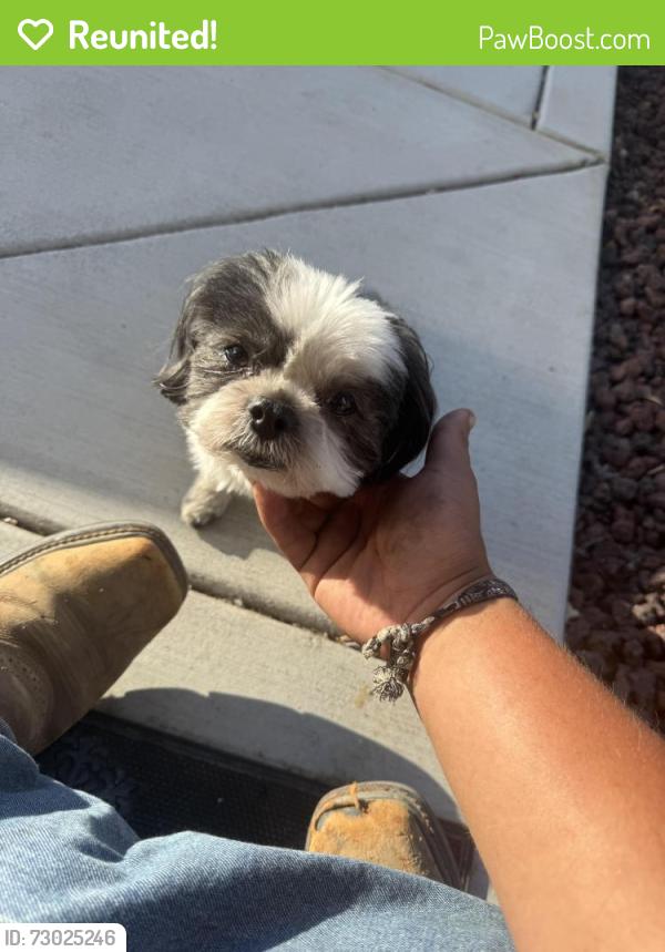 Reunited Male Dog last seen Red root, Riverside County, CA 92596