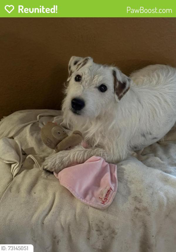 Reunited Female Dog last seen Marcena, El Paso, TX 79912