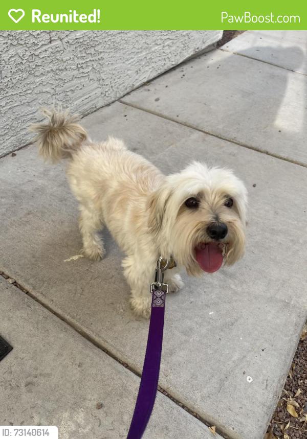 Reunited Male Dog last seen Valley and Craig, North Las Vegas, NV 89032