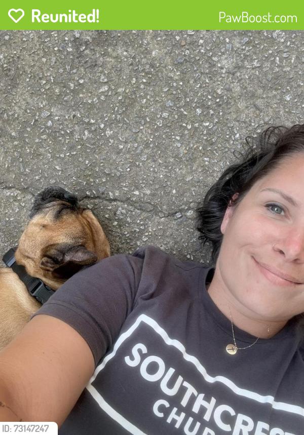 Reunited Female Dog last seen Chesterfield Lora Smith, Newnan, GA 30265