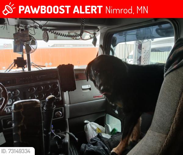 Lost Male Dog last seen Co rd 12 Nimrod mn, Nimrod, MN 56477
