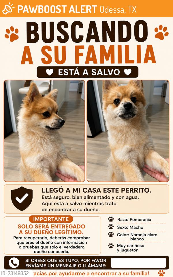 Found/Stray Male Dog last seen Fiesta court, Odessa, TX 79765