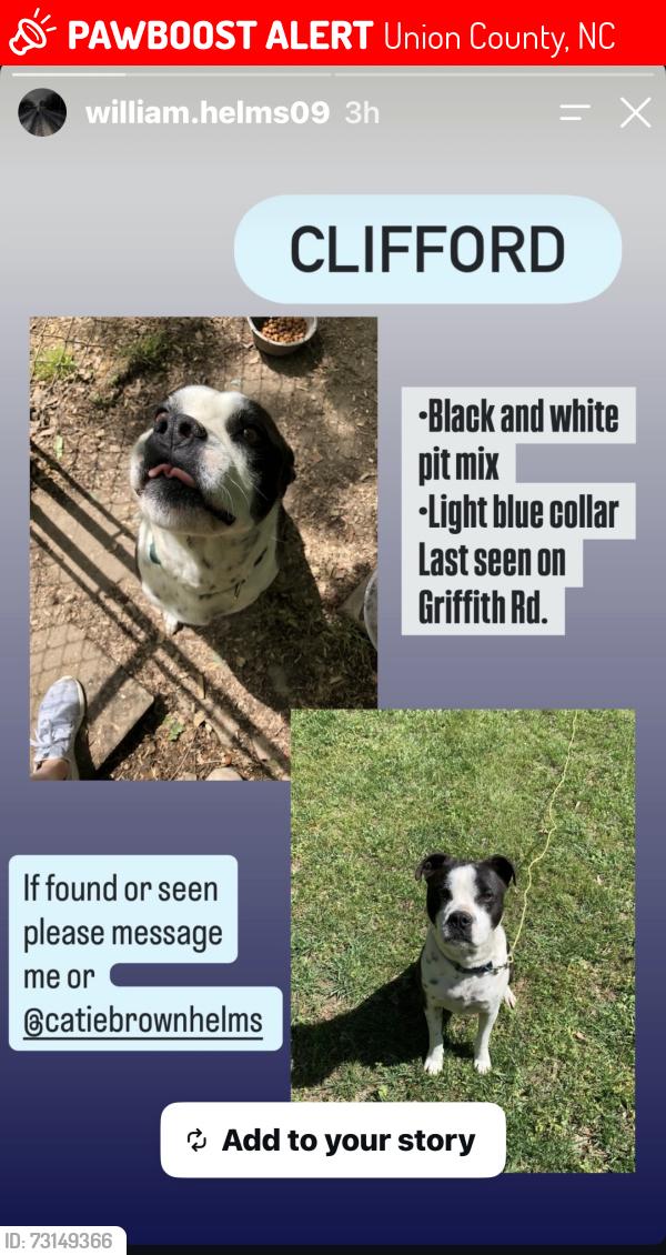 Lost Male Dog last seen Hwy. 200 Lancaster Hwy and Griffith Rd., Union County, NC 28112