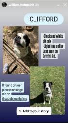 Lost Male Dog last seen Hwy. 200 Lancaster Hwy and Griffith Rd., Union County, NC 28112