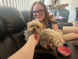 Reunited Female Dog last seen Hawkins Ave, Copiague, NY 11726