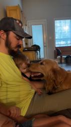 Reunited Female Dog last seen Lamb road, Arlington, TN 38002
