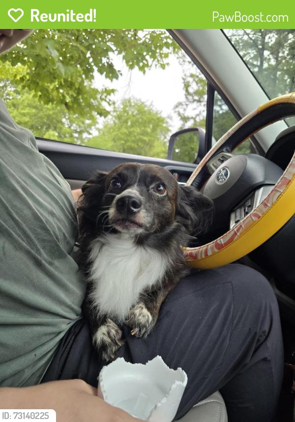 Reunited Male Dog last seen Munson Ave, College Station, TX 77840