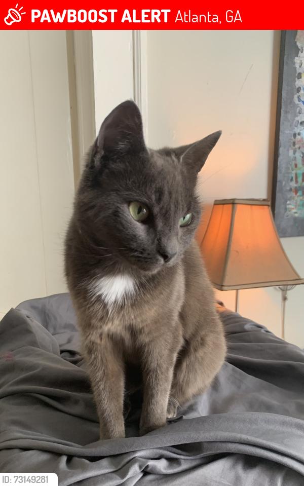 Lost Female Cat last seen Land trust, Atlanta, GA 30307
