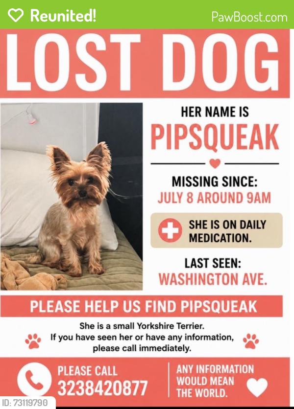 Reunited Female Dog last seen Abbott Rd, South Gate, CA 90280