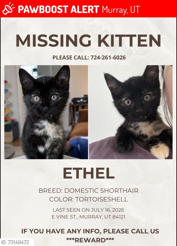 Lost Female Cat last seen E Vine St, Murray, UT 84121