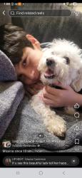 Lost Female Dog last seen Caldwell /county center drive visalia, Visalia, CA 93277