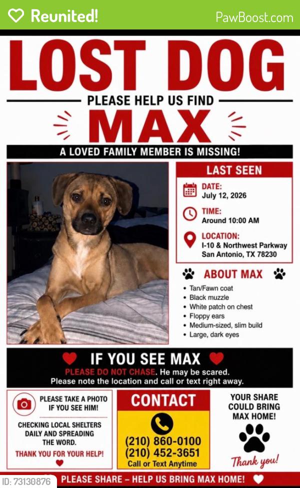 Reunited Male Dog last seen Near De Zavala Rd, San Antonio, TX 78249, USA, San Antonio, TX 78249