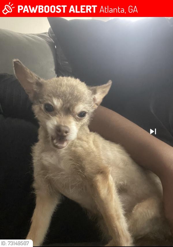 Lost Female Dog last seen Near Hayden st, Atlanta, GA 30331