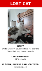 Lost Male Cat last seen Trenton Dr, Elgin, SC 29045