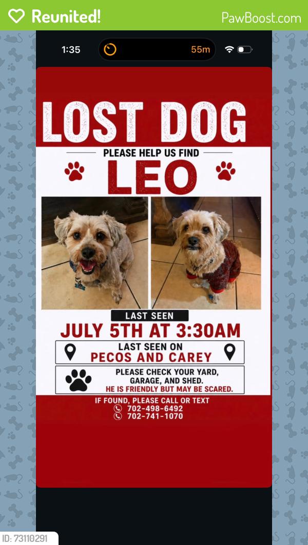 Reunited Male Dog last seen Carey and pecos, North Las Vegas, NV 89030