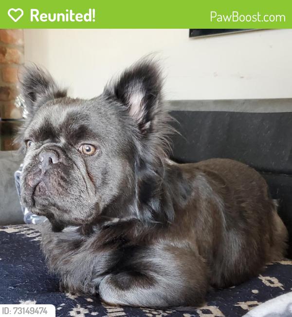 Reunited Male Dog last seen Lummi Island Ferry, Bellingham, WA 98226