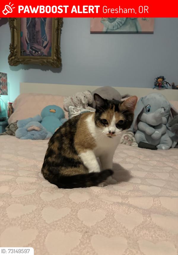 Lost Female Cat last seen Dutch bros on 187th, Gresham, OR 97233