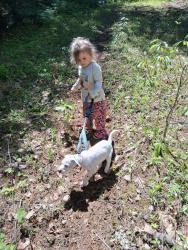 Lost Unknown Dog last seen Lacrosse and argonne rd, Spokane, WA 99212