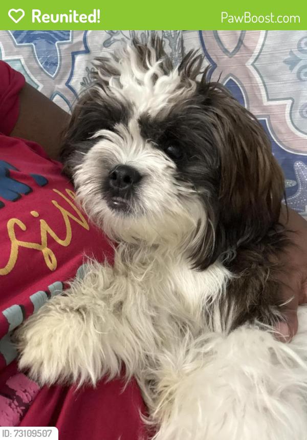 Reunited Male Dog last seen Near near ford rd, Memphis, TN 38109