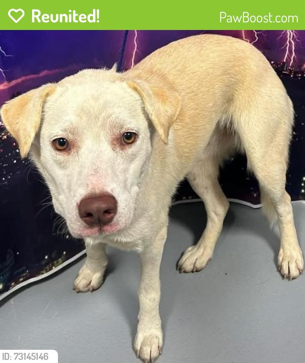Reunited Unknown Dog last seen Located at Rockdale County Animal Service, 1506 Rockbridge Road, Conyers, GA 30012, Conyers, GA 30012