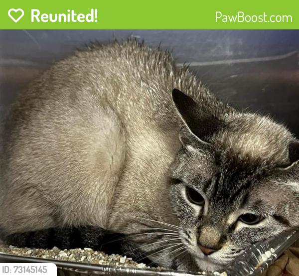 Reunited Unknown Cat last seen Located at Rockdale County Animal Service, 1506 Rockbridge Road, Conyers, GA 30012, Conyers, GA 30012