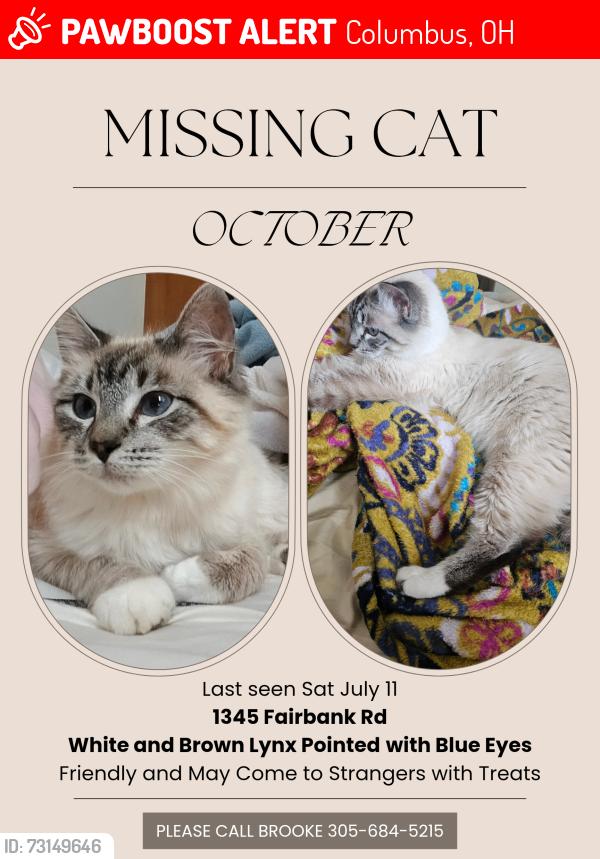 Lost Female Cat last seen Fairbank and Key Pl, Columbus, OH 43207