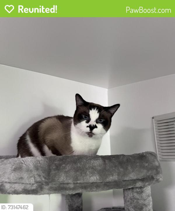 Reunited Male Cat last seen Don Deer Park, Riverside, CA 92504