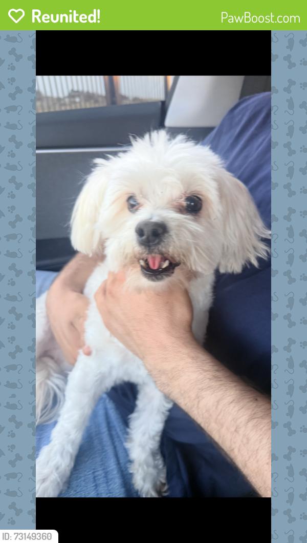 Reunited Female Dog last seen Ramona, Ontario, CA 91762