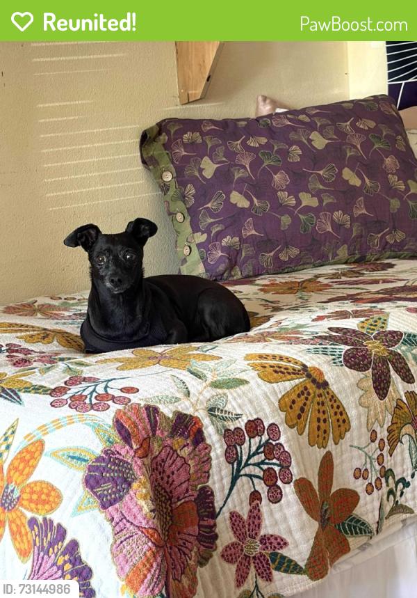 Reunited Male Dog last seen OC Fairgrounds, Costa Mesa, CA 92626