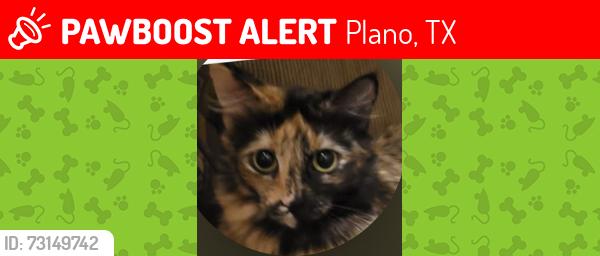 Lost Female Cat last seen Bronco Ln, and Lookout Trl, Plano, TX 75023