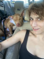 Lost Female Dog last seen 88th s Thompson ave, Tacoma, WA 98408