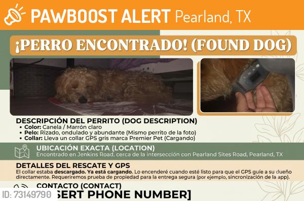Found/Stray Male Dog last seen Pearland Sites Rd ,Jenkins Rd, Pearland, TX 77584