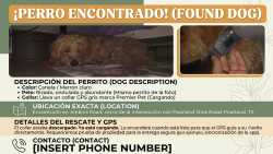 Found/Stray Male Dog last seen Pearland Sites Rd ,Jenkins Rd, Pearland, TX 77584