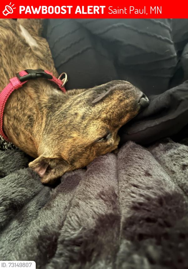 Lost Female Dog last seen Many ha ha, Saint Paul, MN 55101