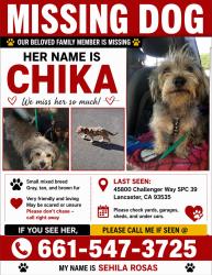 Lost Female Dog last seen Challenger way and Ave H, Lancaster, CA 93535