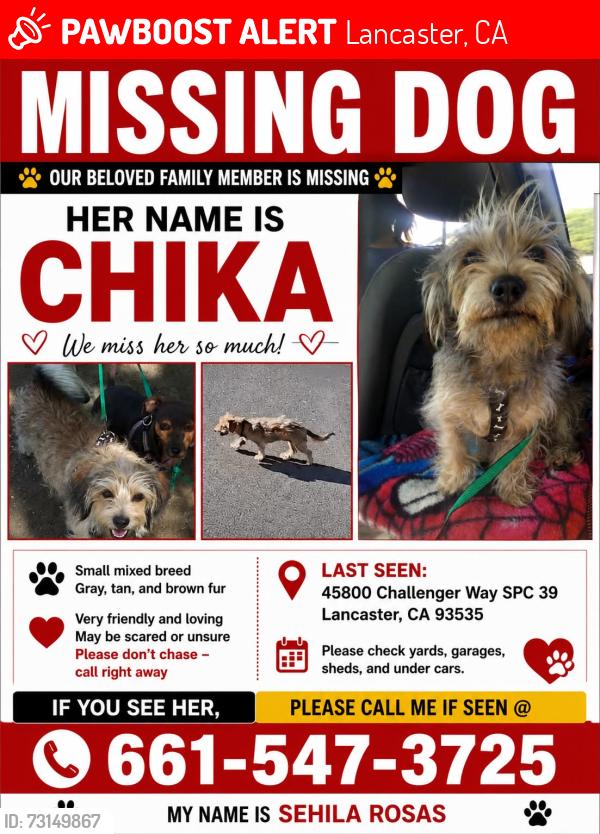 Lost Female Dog last seen Challenger way and Ave H, Lancaster, CA 93535