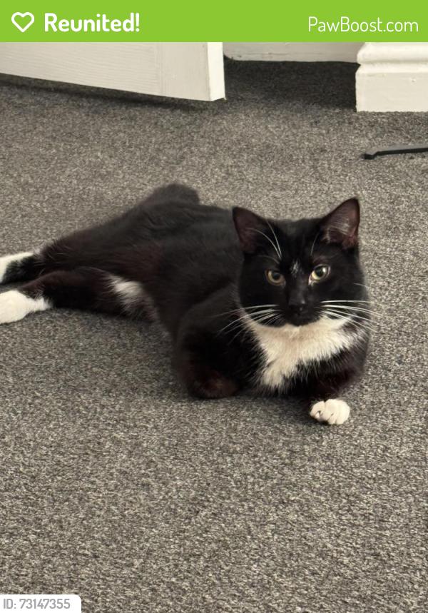 Reunited Male Cat last seen Edith street Oldham, Greater Manchester, England OL8 2AL