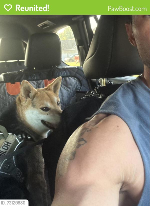 Reunited Male Dog last seen Hope Mills Rec Center / Hive of Hope Mills, Hope Mills, NC 28348