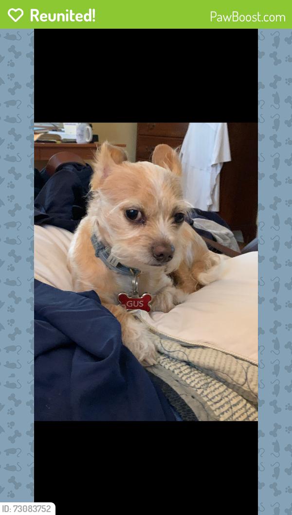 Reunited Male Dog last seen Lake Katherine / Kilbourne Road / Kathwood Drive, Columbia, SC 29206