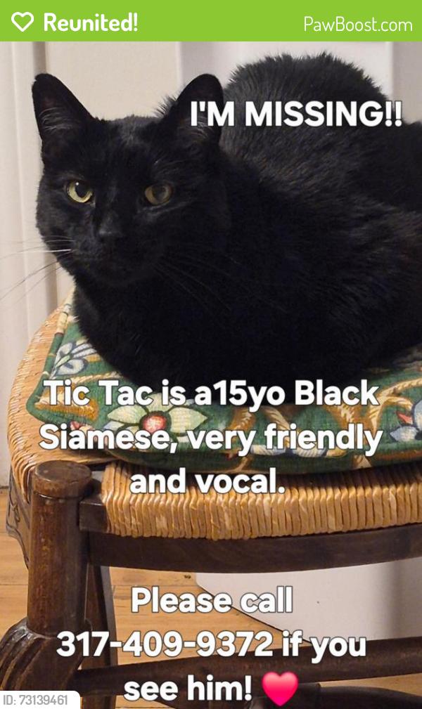 Reunited Male Cat last seen The Villages, Indianapolis, IN 46256