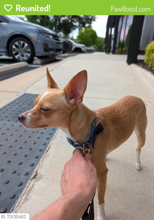 Reunited Female Dog last seen Nelson and Otis, Durham, NC 27707