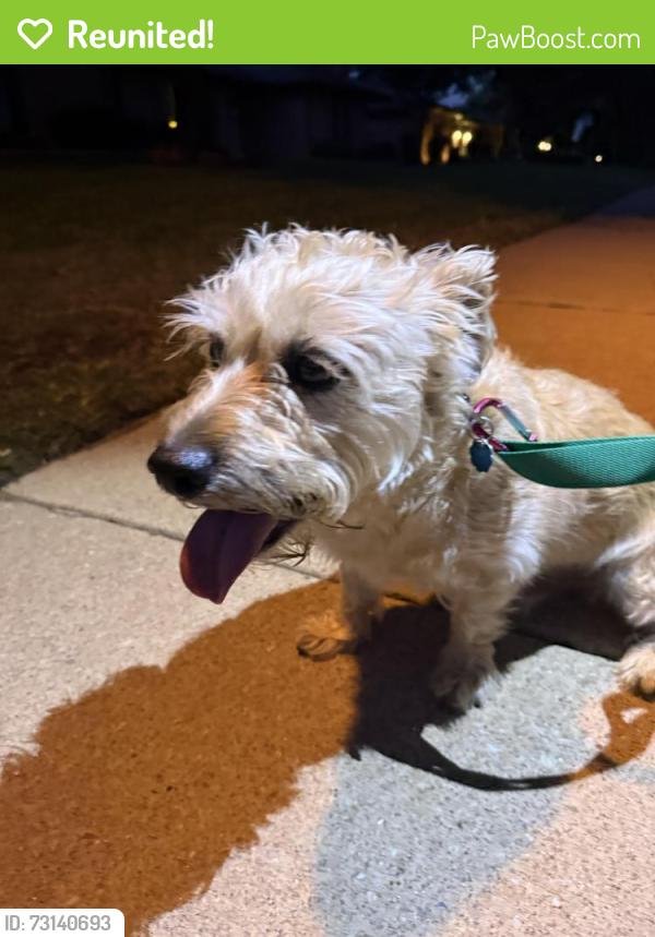 Reunited Unknown Dog last seen Northcrest Dr & Longworth, Plano, TX 75075