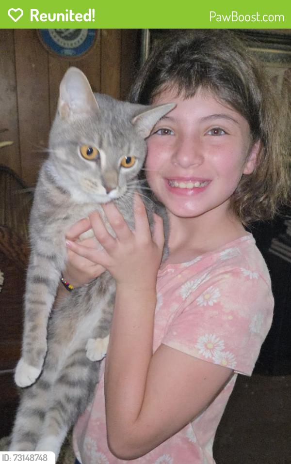 Reunited Male Cat last seen Route 79 & Conover, Marlboro Township, NJ 07751