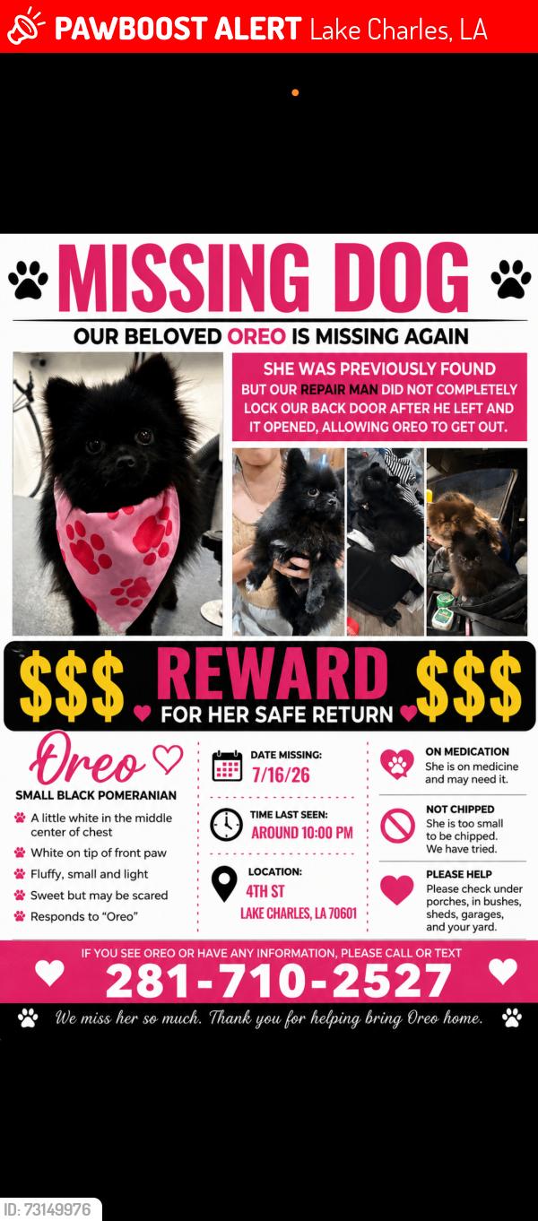 Lost Female Dog last seen 4th ave, Lake Charles, LA 70601