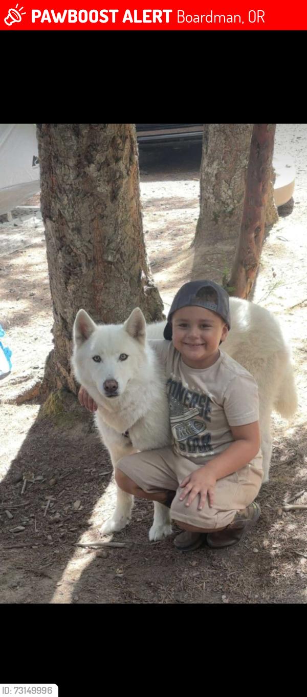 Lost Female Dog last seen Boardman oregon, Boardman, OR 97818